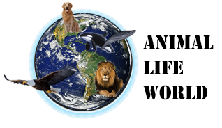 1-animal-life-world.png